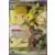 Lillie's Ribombee