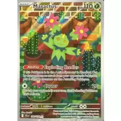 Maractus