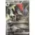 N's Zoroark EX