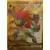 N's Zoroark EX