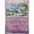 Oricorio Reverse