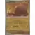 Swinub Reverse