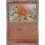 Torchic Reverse