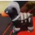 Houndoom