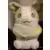 Yamper Sunny Picnic Outing