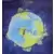 Yes - Fragile
