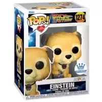 Back to The Future - Einstein