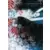 Volume 5