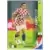 Darijo Srna - Croatia - Midfielders