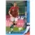 David Rozehnal - Czech Republic - Defenders