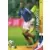 Thierry Henry - France - Forwards