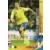 Zlatan Ibrahimovic - Sverige - Forwards