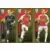 Aaron Ramsdale / Gabriel Magalhães / Ben White - Arsenal FC
