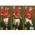 Casemiro / Bruno Fernandes / Mason Mount - Manchester United
