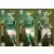 Gabriel Menino / Zé Rafael / Artur - Palmeiras