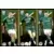 Bernard / Fotis Ionnidis / Daniel Mancini - Panathinaikos