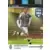 FIFA 365 : 2015-2016 Adrenalyn XL - Claudio Marchisio - Juventus