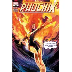 Issue 11