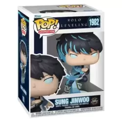 Solo Leveling - Sung Jinwoo GITD