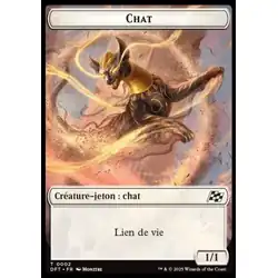 Chat