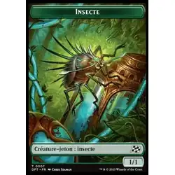 Insecte