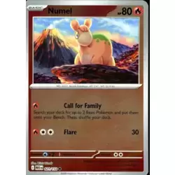 Numel Reverse