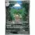 MEGA Evolution MEGFR - Noadkoko