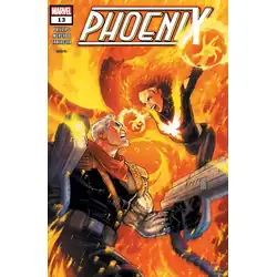 Issue 13