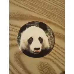 Panda géant