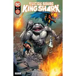 Issue 4