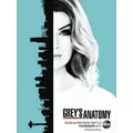 Grey's Anatomy - L'intégrale saison 11 - Coffret 6 DVD