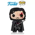 Game of Thrones - Ghost Flocked 19