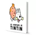 Tintin et les picaros 23