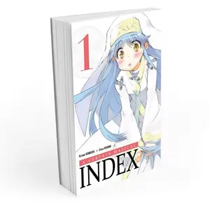 A Certain Magical Index