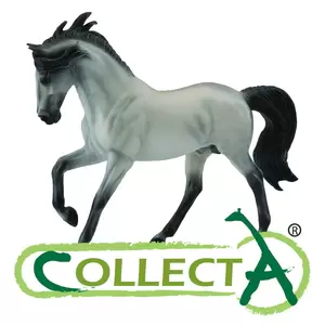 Collecta