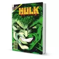 Hulk 13 13