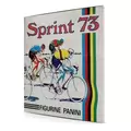 Sprint 73