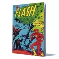 Flash et son sosie 31