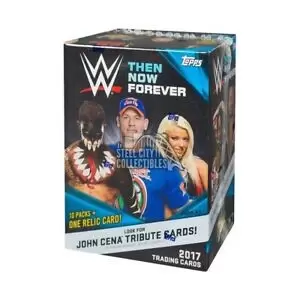 WWE - Then, Now, Forever 2017