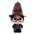Harry Potter - Hermione with Sorting Hat