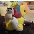 Miscellaneous Plush