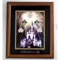 GenEARation D - Cinderella's Castle Through the Years Framed Set - Pink