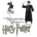 Wizarding World & Harry Potter