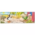 Penguin and Parrot