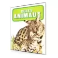 Bébés Animaux - Maison Maurice