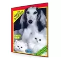 Chiens et Chats - Stickline