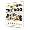 The Dog - Artlist Collection
