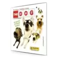 The Dog - Artlist Collection