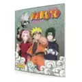 Naruto - Battle of the Ninja