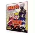 Naruto - True Spirit of the Ninja